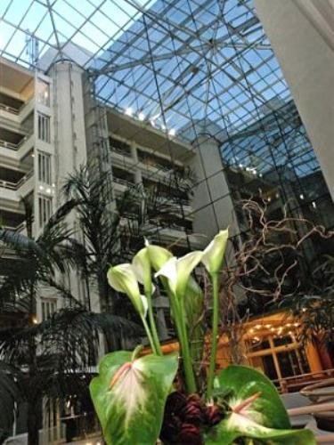 Hotel Ambassadeur