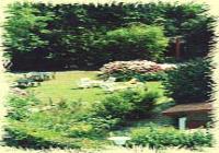 Les Goelands