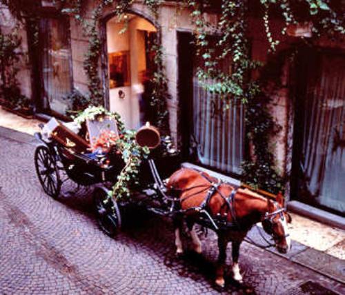 Gabbia d'Oro