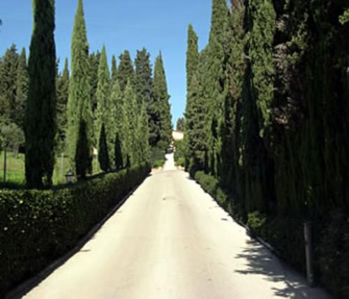 La Collegiata