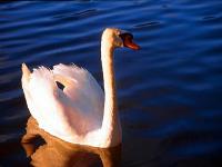 Mazury east 2
