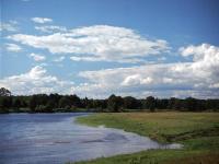 Narew River 3
