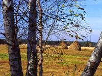 Warsaw Area 2