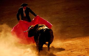 Bullfighting
