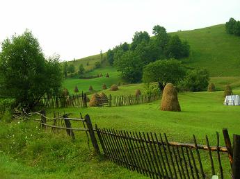 Moldovan countryside