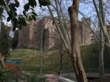 Castell Cartoixa de Vallparadis