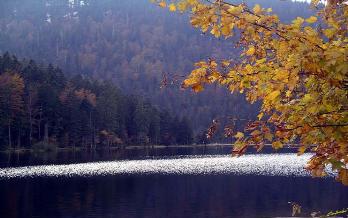 Bavaria