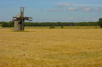Gotland