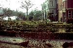 De Hortus