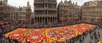 Flower Carpet in Brussels