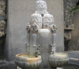 Fontain of the Tiare