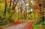 Bois de Vincennes