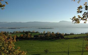 Feldbach lake
