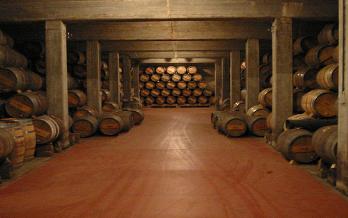 Vineyard in Haro