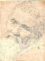 Michelangelo