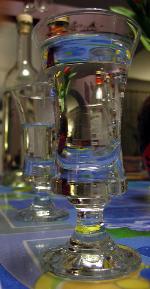 Palinca