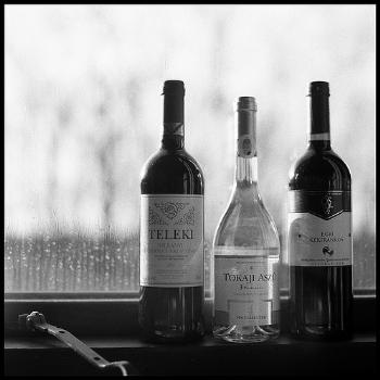 Hungarian wine
