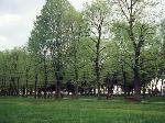 Giardini Pubblici