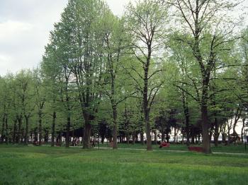 Giardini Pubblici