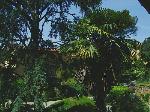 Archaeological Museum (Museo Archeologico) 