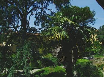 Archaeological Museum (Museo Archeologico) 