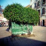 Campo Santa Margherita