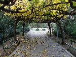 The Areos Park