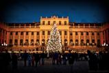 Christmas in Vienna
