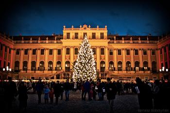 Christmas in Vienna