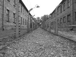 Auschwitz-Birkenau
